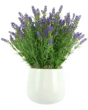 Creative Displays UV-Rated Outdoor Lavender Arrangement In A White Fiberstone Pot