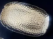 Miracle Home Collection Silver Hammered Porcelain Oval Small Platter Tray