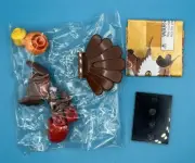 Lego Collectible Turkey Costume Guy Minifigure Series 23 COL23-9