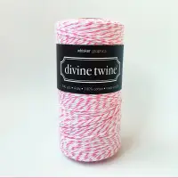 在飛比找蝦皮商城優惠-美國 Divine Twine 雙色棉線 / 240碼 / 