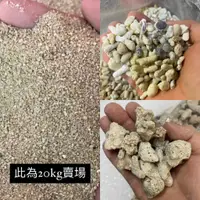 在飛比找蝦皮購物優惠-珊瑚砂20kg【2號 20號 30號 】珊瑚骨 珊瑚石 貝殼