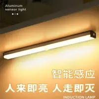 在飛比找樂天市場購物網優惠-【免運】可開發票 小夜燈 led人體感應小夜燈浴室衛生間臥室