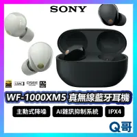 在飛比找蝦皮購物優惠-SONY WF-1000XM5 藍牙真無線耳機 無線耳機 藍