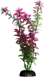 Ecoscape Medium Rotala Red Aquarium Plant Fish Tank Décor Aqua One
