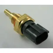 RAE Coolant Temperature Sensor - CS846