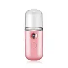 Nano Face Mist Spray Facial Perfume Sprayer Moisturizing Humidifier USB Steamer