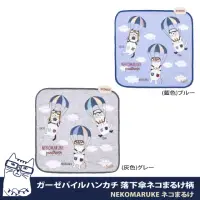 在飛比找momo購物網優惠-【Kusuguru Japan】紗布絨手帕 毛巾 日本眼鏡貓