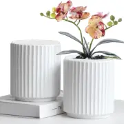 MUZHI 2Pack White Ceramic Orchid Pots Planter with Drip Trays and Cymbidium B...