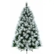 Frosted Montgomery Pine 180cm (6’) 398 Tips Christmas Tree
