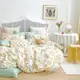 Ania Casa 拉菲莊園 雙人三件式 100%精梳棉 台灣製 床包枕套純棉三件組