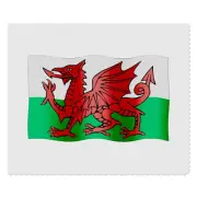 2 x 'Welsh Flag' Microfibre Lens / Glasses Cleaning Cloths (LC00013922)