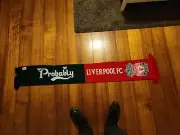 Official Liverpool Football Club Carlsberg Red & Green Scarf 2013 NEW