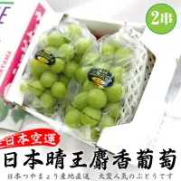 在飛比找momo購物網優惠-【WANG 蔬果】日本岡山縣晴王麝香葡萄2房禮盒x1盒(60