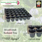 30 Cell Seedling Propagation Tray - Pack of 2 - Plant Cuttings, Seed Raising