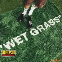 在飛比找Yahoo!奇摩拍賣優惠-【現貨】潮玩大咖潮牌聯名地毯溼草地WET GRASS客廳臥室