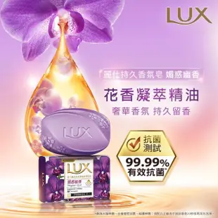 【LUX 麗仕】香氛皂80gx72入(水嫩柔膚/煥活冰爽/媚惑幽香)