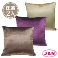 在飛比找鮮拾優惠-【J&N】短毛絨麗緻抱枕-45x45cm(2 入/1組)