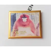 在飛比找蝦皮購物優惠-Golden Monkey SINGAPORE ZOOLOG