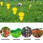 # 10pcs Dual-Sided Gnat Catcher Non-Toxic Dual-Sided Yellow Sticky Fly Traps