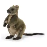 22cm Hansa Quokka Handmade Plush Soft Cuddly Realistic Stuffed Animal Toy