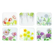 Ashdene Botanical Symphony Set of 6 Coasters - Robins Kitchen
