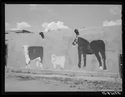 8" x 10" Photo Native art on adobe wall. Amalia, New Mexico