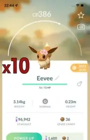 Pokemon TRADE - 10x Eevee with Flowers (2023) ! Good Chance of Lucky and Good IV