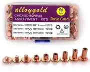 90 Sets Rose Gold Chicago Screws Leather Assorted Kit ，6 Sizes of Screw Rivets f