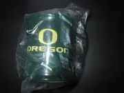NIB Oregon Ducks Football GREEN Scentsy Plug-In Wax MINI Warmer GIFT COLLECTORS!