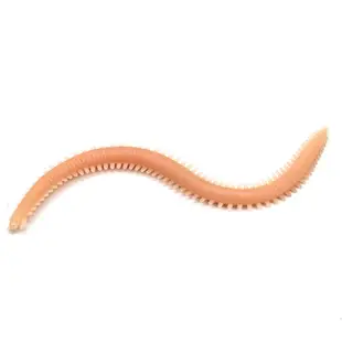 【愛買戶外】海蚯蚓假餌 13cm/2g 軟餌 軟蟲 PVC材質 台釣 海釣 路亞餌