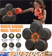 Wall Mounted Smart Punching Boxing Electronic Music Machine Home Training Target