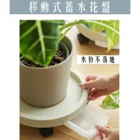 在飛比找蝦皮購物優惠-[免運-台灣現貨] 花盆底盤 水盤 接水盤 園藝底盤 滾輪底