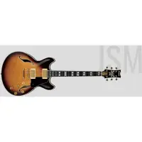 在飛比找蝦皮購物優惠-【名人樂器】IBANEZ 日廠 JSM100 VT