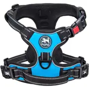 Adjustable pet leash with 2 leash clips, choke-free reflective Oxford outdoor vest, padded handle for easy maneuvering (Blue,M)