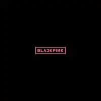 在飛比找蝦皮購物優惠-★C★【韓國歌曲CD專輯】BLACKPINK   BLACK