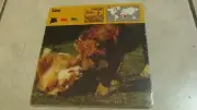 1976 Editions Rencontre S.A. Lausanne Animal Flash Cards Snapper 24-pack