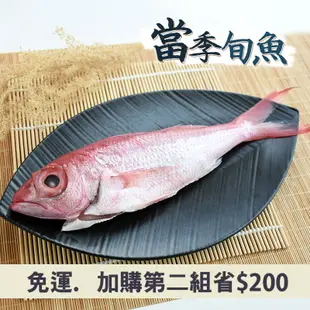 (2包組)龜山島野生長尾鳥(250g/尾)