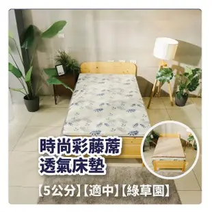 【BOSS BEDDING 小老闆寢具】雙人5尺冬夏亞藤透氣5公分床墊(折疊床｜雙層床｜薄床墊｜宿舍床｜露營床)