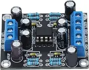 Audio Preamplifier Board 2 Channel Preamplifier Board NE5532 2 Channels Audio Amplifier Module Digital Amplification for Car Speaker