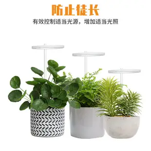 單天使環 LED 生長燈 DC5V USB Phytolamp 全光譜植物燈 植物燈 天使環植物生長燈 多肉植物補光燈