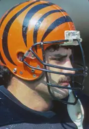 Linebacker Carl Zander Cincinnati Bengals looks on from the sideli- Old Photo