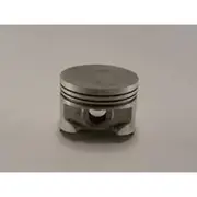Austral Piston Set - PO1209 STD