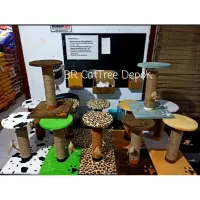 在飛比找蝦皮購物優惠-Cat condo Scratcher