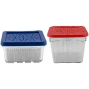 2pc Avanti 300ml/1L Berry Basket w/ Draining Lid Stackable Berries Container Set
