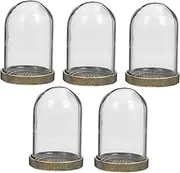 HOMSFOU 5Sets DIY Micro Landscape Glass Dome with Tray Terrarium Container for Indoor Outdoor Decoration for Home Office and