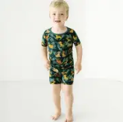 Little Sleepies Disney Simba’s Sky Lion King Top Short Set Pajama PJ Size 5/6