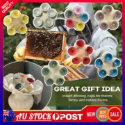 Insects Bee Drinking Cup Bee Watering Station for Feeding and Watering Safe AF