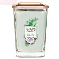 在飛比找Yahoo!奇摩拍賣優惠-【妮蔻美妝】Yankee Candle 風尚系列 岸邊微風 