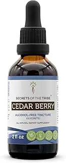 Cedar Berry Tincture Alcohol-Free Liquid Extract, Wildcrafted Cedar Berries (Juniperus monosperma) Dried Berry (2 FL OZ)