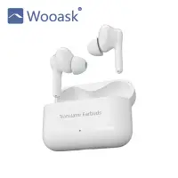 在飛比找Yahoo奇摩購物中心優惠-Wooask M6 藍牙無線翻譯耳機